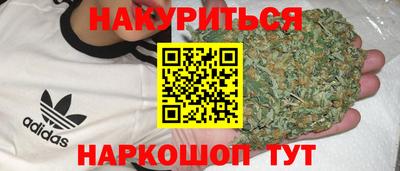 гашик Берёзовский