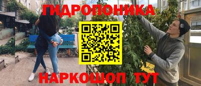 Альфа ПВП Бийск
