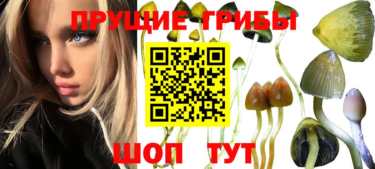 Псилоцибиновые грибы мухоморы  Вход с VPN  Карачаевск 