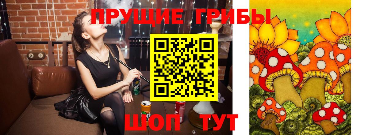 Псилоцибиновые грибы GOLDEN TEACHER Карачаевск